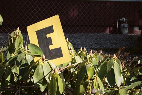 Children Map Identification 的图像结果