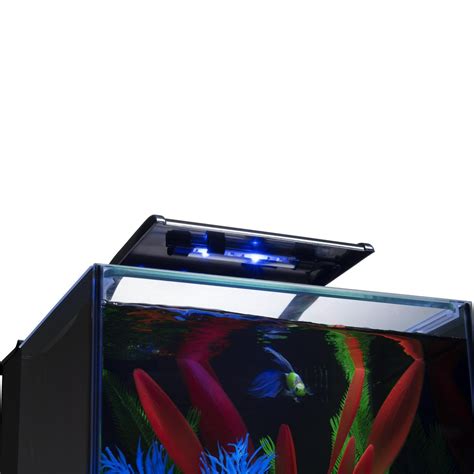 Buy Betta Shadowbox Aquarium Tank Kit 3 Gallons Includes LED Lighting ...