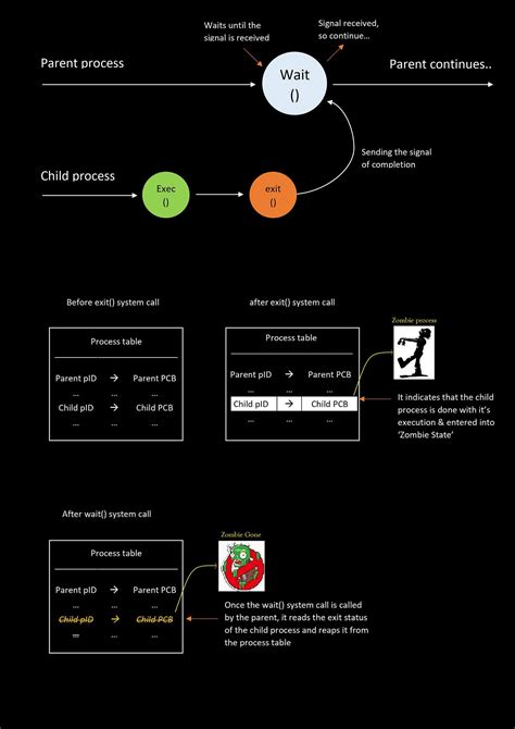 Orphan Process 的图像结果