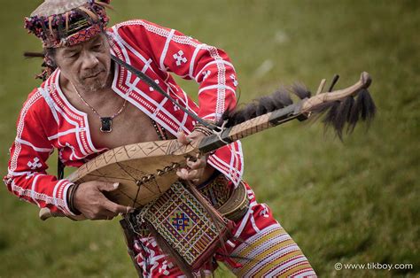 Music Tribe Philippines: Discover Your Passion