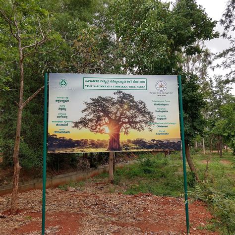 SALUMARADA TREE PARK (2026) All You Need to Know BEFORE You Go (with ...