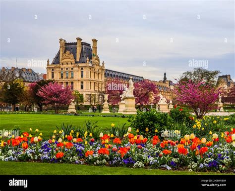 Tuileries palace hi-res stock photography and images - Alamy