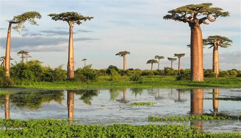 6 Largest Islands To Visit in The World - lifeberrys.com