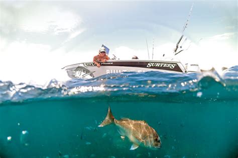 Image result for GoPro Fish Camera