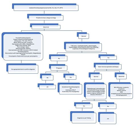 Suspected Bleeding Disorder - howitreat.in
