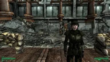 Image result for Fallout Update