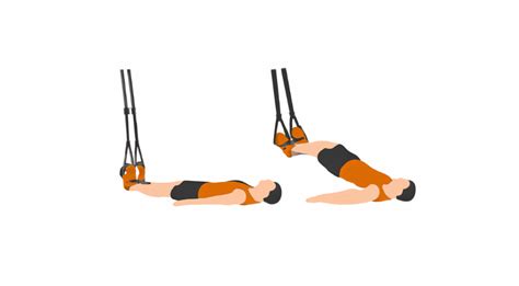 TRX Leg Curl 的图像结果