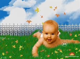 Image result for Sugar Baby Wallpaper