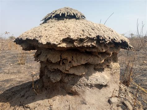 THE BEST Places to Visit in Upper West Region (2025)