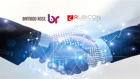 Bamboo Rose Announces Strategic Investment from Rubicon Technology