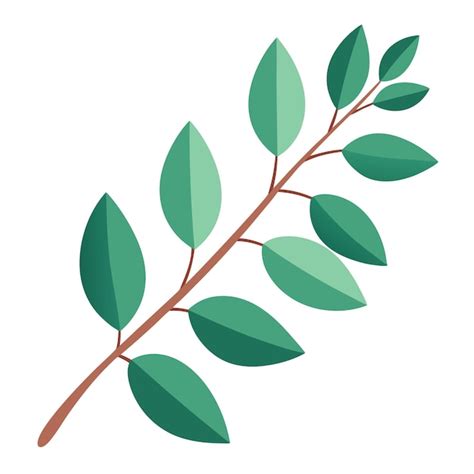 Eucalyptus branch clipart vector art and illustration | Premium AI ...