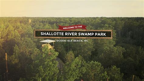 Shallote River Swamp Park | Adventure park, Ocean isle beach, Ziplining
