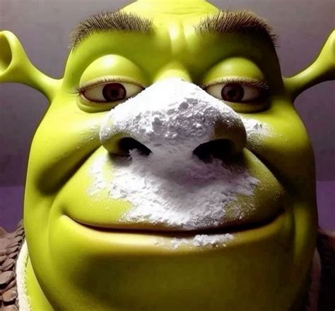 Shrek coca | Shrek memes, Shrek funny, Shrek