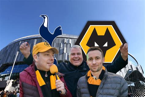 Image result for Wolves Goals and Reactions