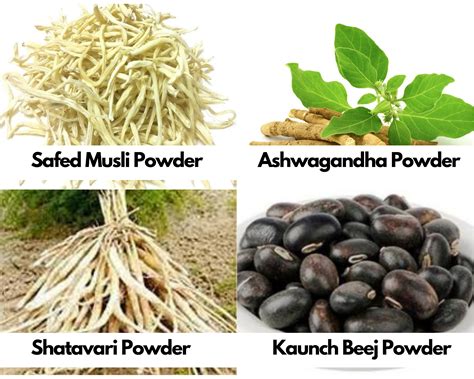 Shatavar, Safed Musli, Kaunch Beej and Ashwagandha Powder 100 [25 – everAyu