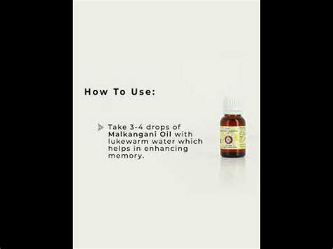deve herbes Pure Malkangani (Malkangni / Jyotishmati) Oil (Celastrus ...