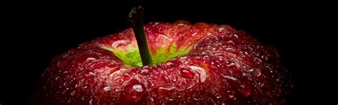 Apple Wax Coatings: Types, Benefits & Safety Explained - SER Wax Industry