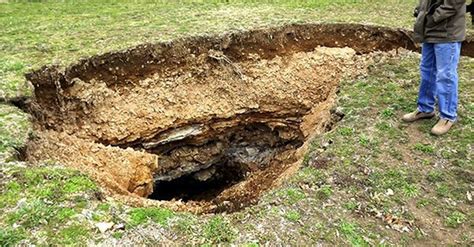 Home Digging 的图像结果