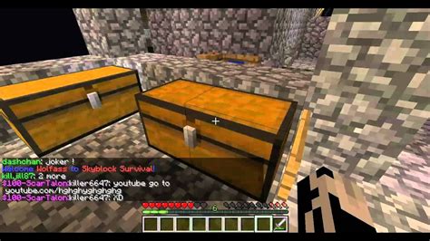Image result for Skyblock Randomizer Server IP