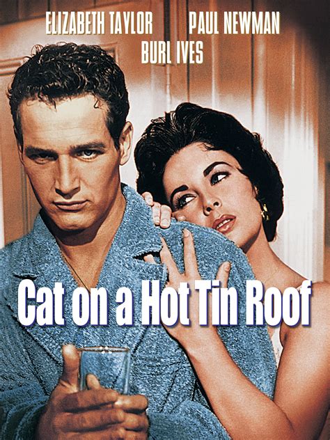 Cat On A Hot Tin Roof Play