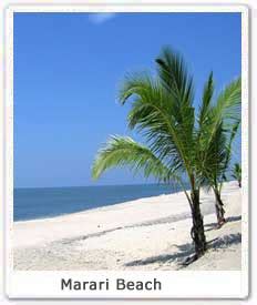 Marari Beach, Location of Marari Beach, Excursion from Marari Beach ...