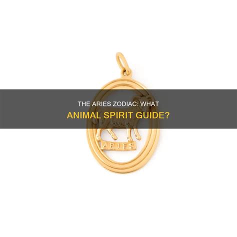 The Aries Zodiac: What Animal Spirit Guide? | ShunSpirit