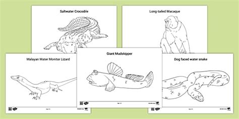 Sungei Buloh Wetland Reserve Animals Colouring Activity
