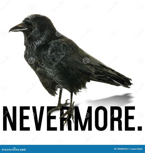 Quoth The Raven Nevermore Wallpaper