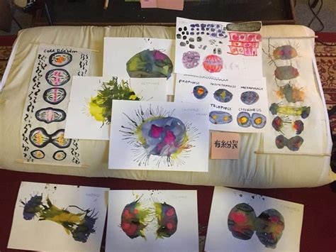 Art Science Projects 的图像结果