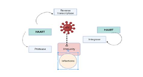 Anti-HIV drugs | SAKSHAM LMIS - NIHFW