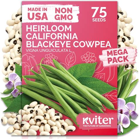 Amazon.com : KVITER 75 California Black Eyed Peas Seeds for Planting ...