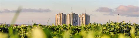 Image result for Sustainable Development Examples