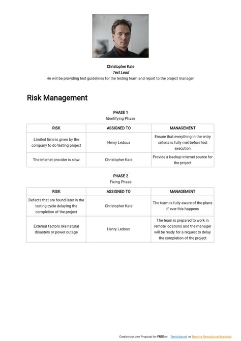 Image result for Example Functional Test Project Plan
