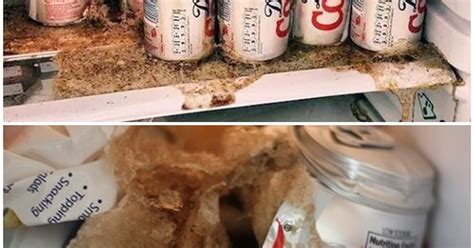Image result for Coke Bottle Exploding