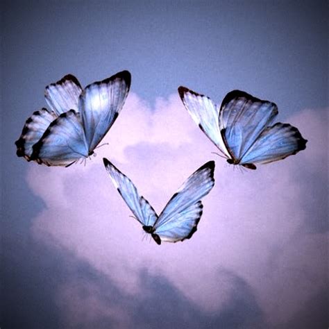 Day1. Describe your personality — Teletype