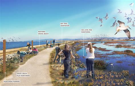Hayward Regional Shoreline Adaptation Master Plan - SCAPE
