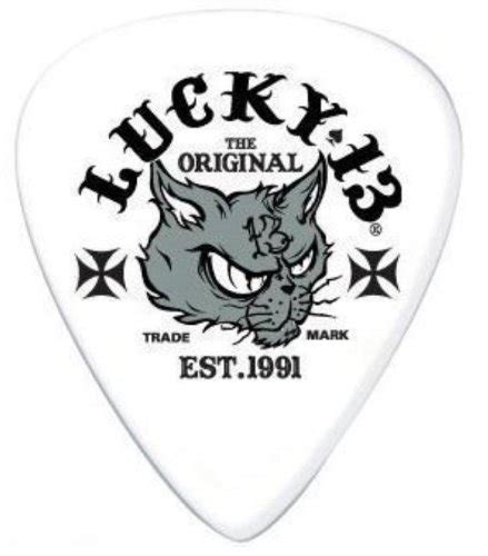 Dunlop Lucky 13 Dirty Cat 0.60mm Guitar Picks - 36 Pack : Amazon.in ...