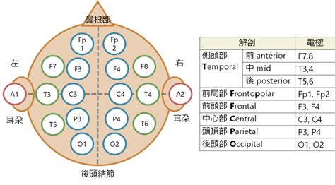 Image result for Machine Learning Multiple Layer