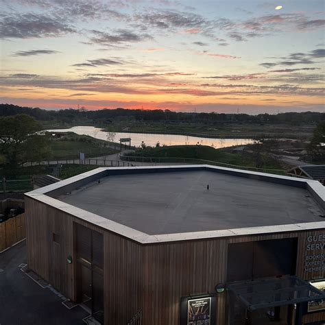 THE YORKSHIRE HIVE (2026) All You Need to Know BEFORE You Go (with ...