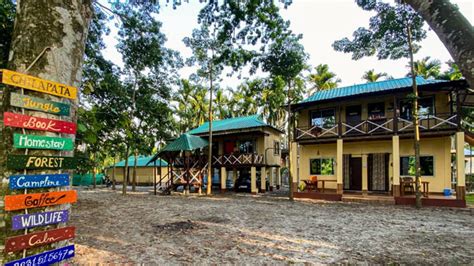 Top 10 homestays in Jibhi for your next best vacation!