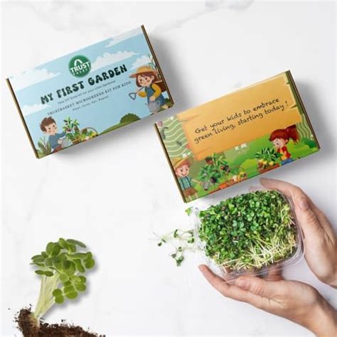 Trustbasket My First Garden Microgreens Kit for kids - Sustainable ...