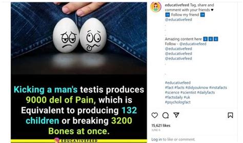 Fact Check: Does kicking a man’s testis produce pain of 9000 dels ...