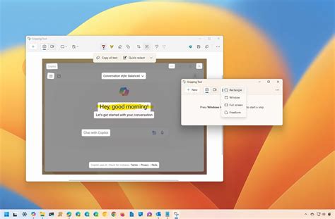 Image result for Screen Capture Windows 11