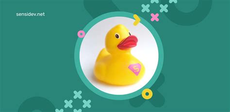 Image result for Debugging Duck Python