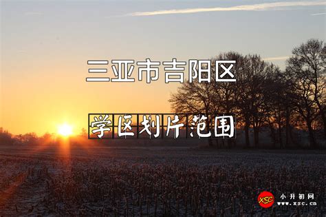 速看！人大附中三亚学校、上外三亚附中招生方案来啦_澎湃号·政务_澎湃新闻-The Paper