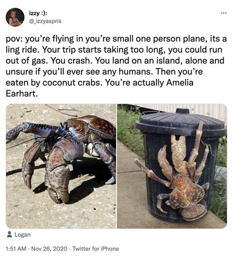 Amelia Earhart Eaten By Coconut Crabs: Image Gallery | Know Your Meme
