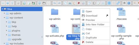 Image result for WordPress File Manager