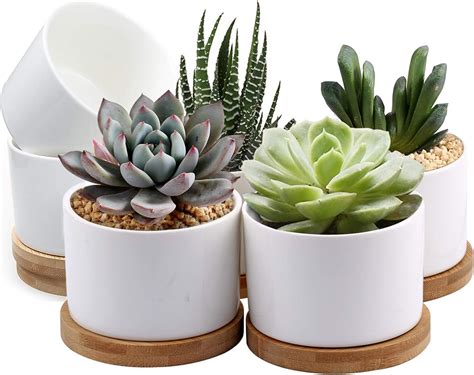 Amazon.com: ZOUTOG Succulent Pots 3.1 Inch,6 Pack Succulent Planters ...