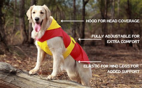 Pet Set Go Waterproof Dog Raincoat with Hood | Double Coloured Aqua ...