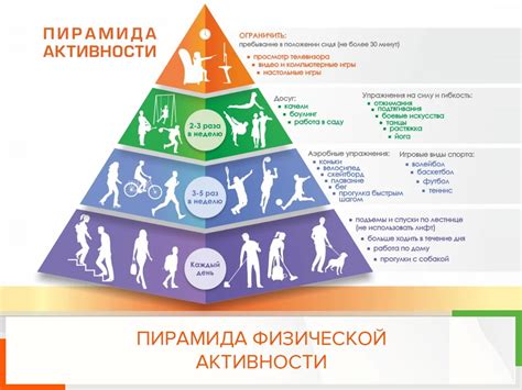 Физическая активность: насколько она важна? – Центр общественного ...